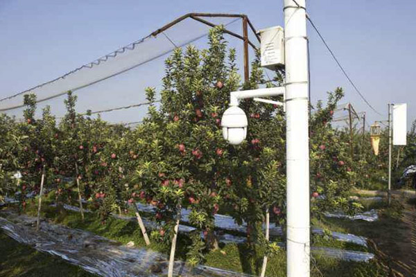 野外種植基地安裝智能監控系統